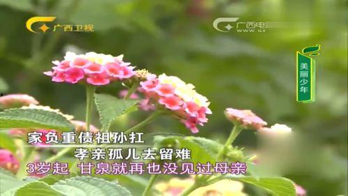 有妈的孩子像棵草,有妈的孩子像棵茁壮之草